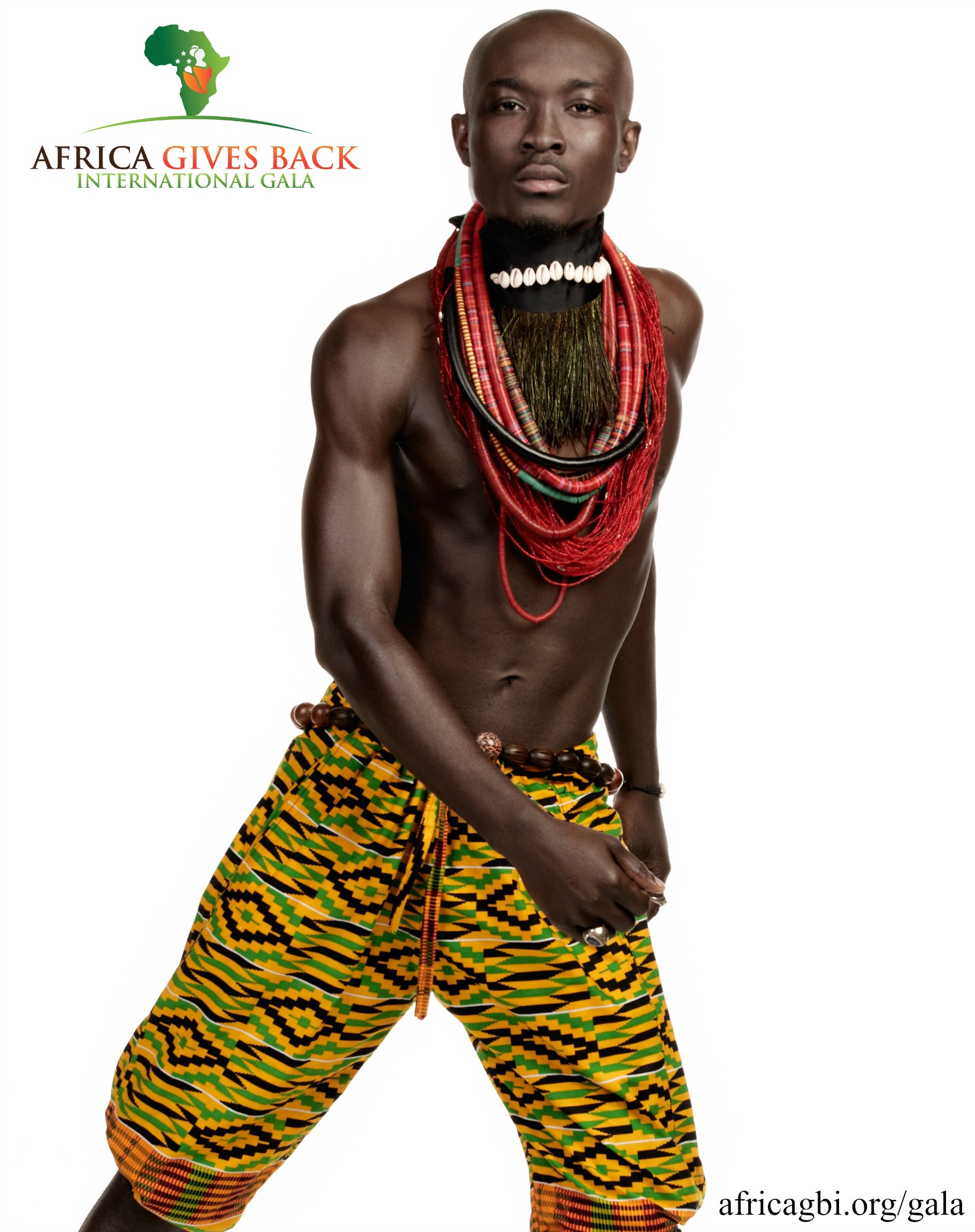 Africa Gives Back Int'l Gala Campaign 2015 9